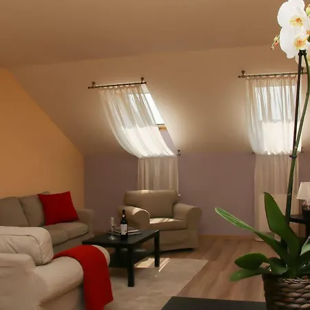 Luxury Machova Apartment Prague