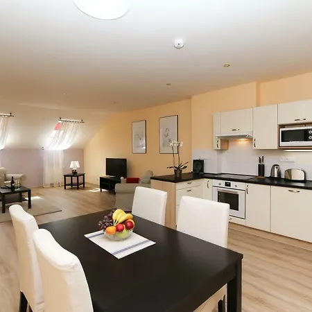 Apartment Luxury Machova Prague