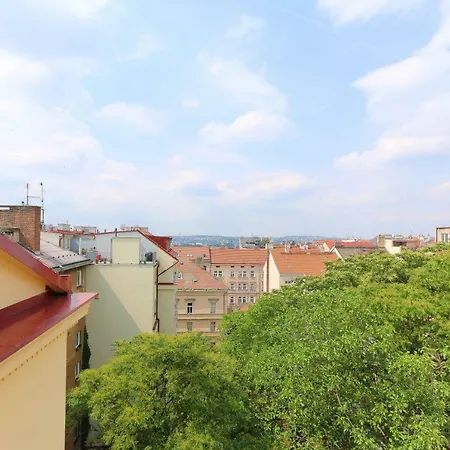 Luxury Machova